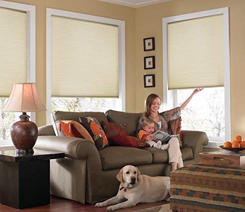 Custom Cordless Single Cell Shades, 50W x 48H, Daylight, Any size from 21